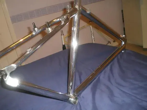 shiny shiny E3.webp