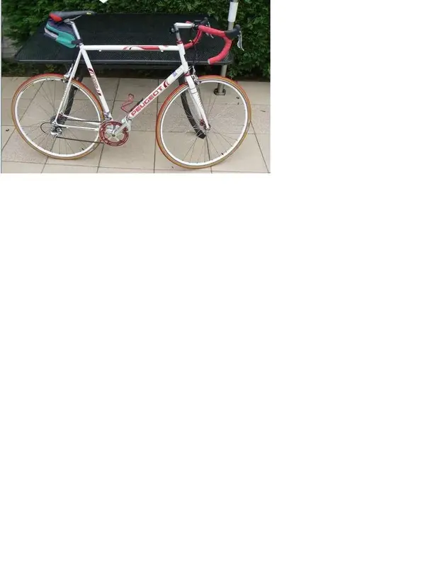 peugeot.webp