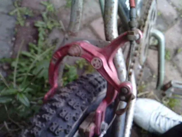 P201009_15.140001.webp