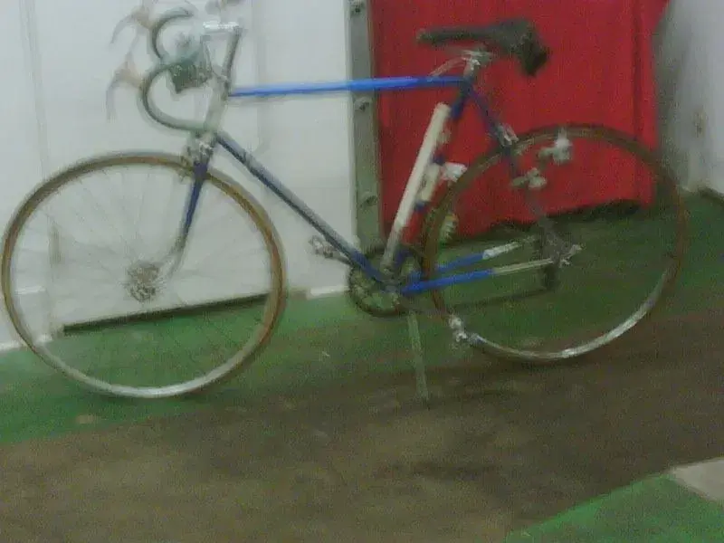 IMG00120-20091014-1750.webp