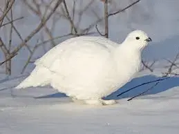 1635877391682.png