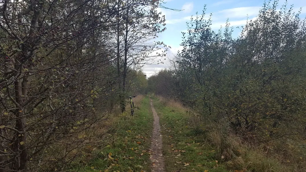 20211105_131535.jpg