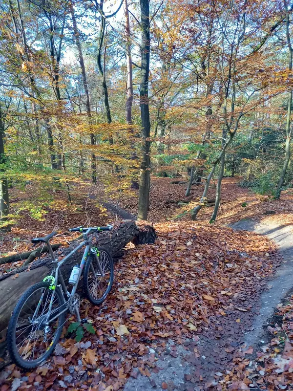 20211109_103522.webp