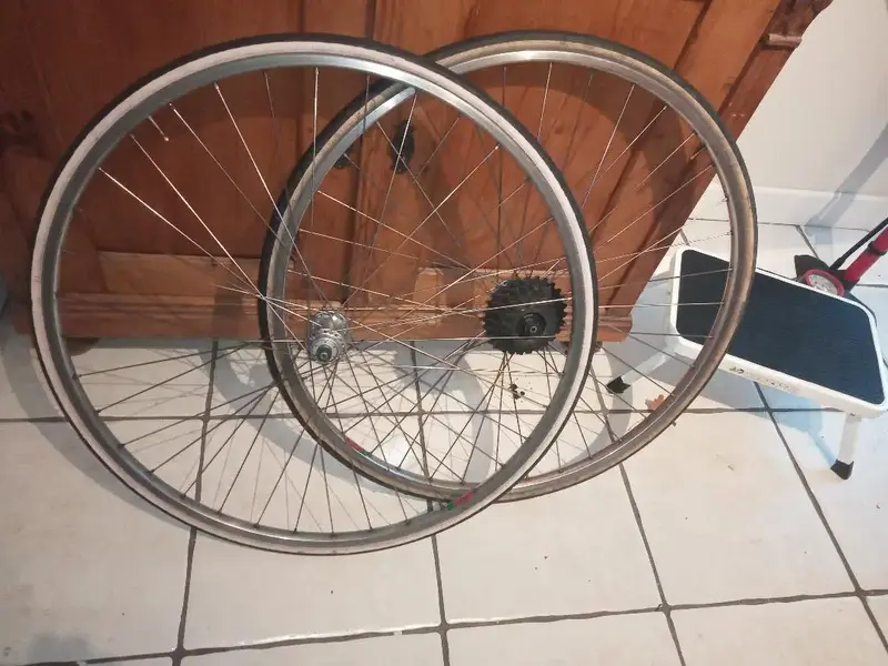 wheels 3.webp