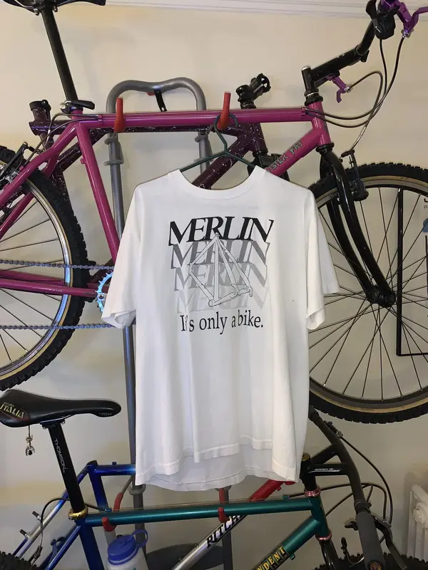 Merlin.webp