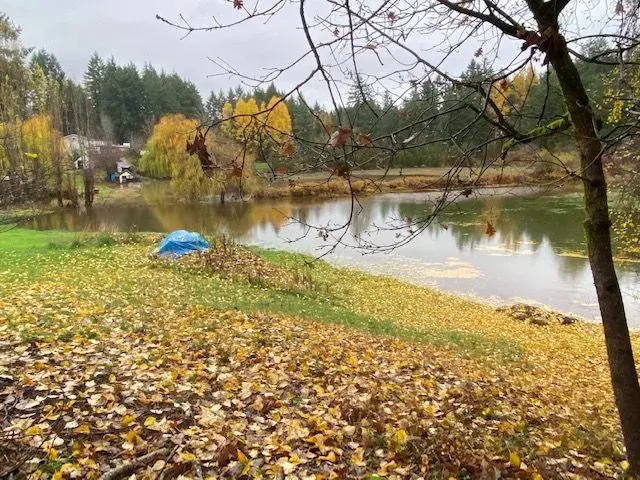 lake.webp