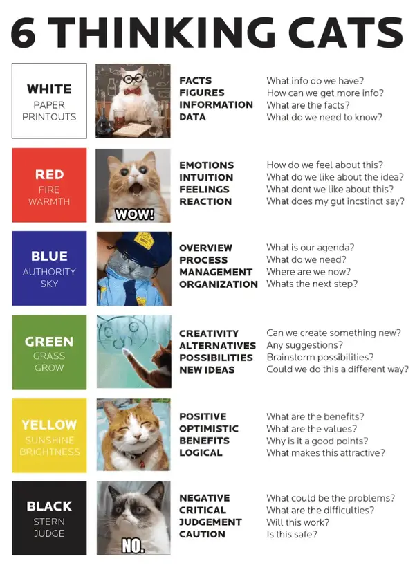 six+thinking+cats.webp