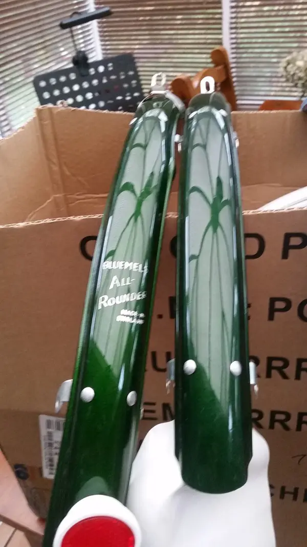 all rounder green.webp