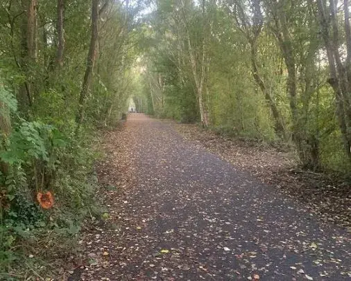 country way.JPG