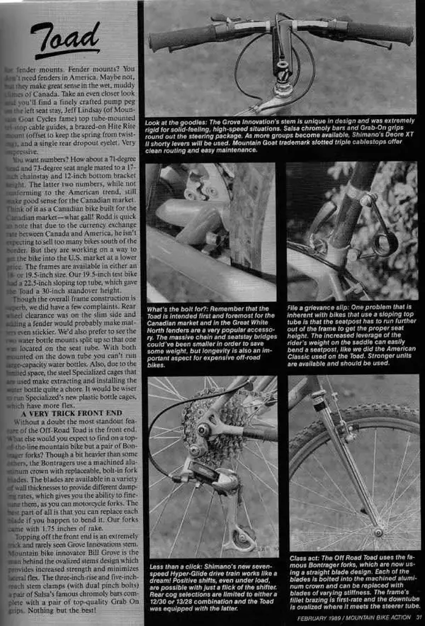 47659d1104716038-article-1989-off-road-toad-toad-2.webp
