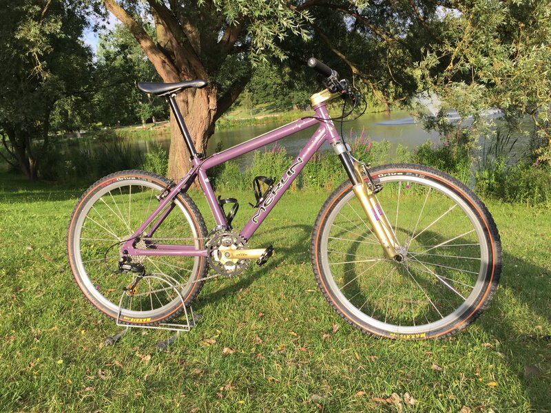 My Bikes - 20210722 Merlin Malt purple (2).JPG