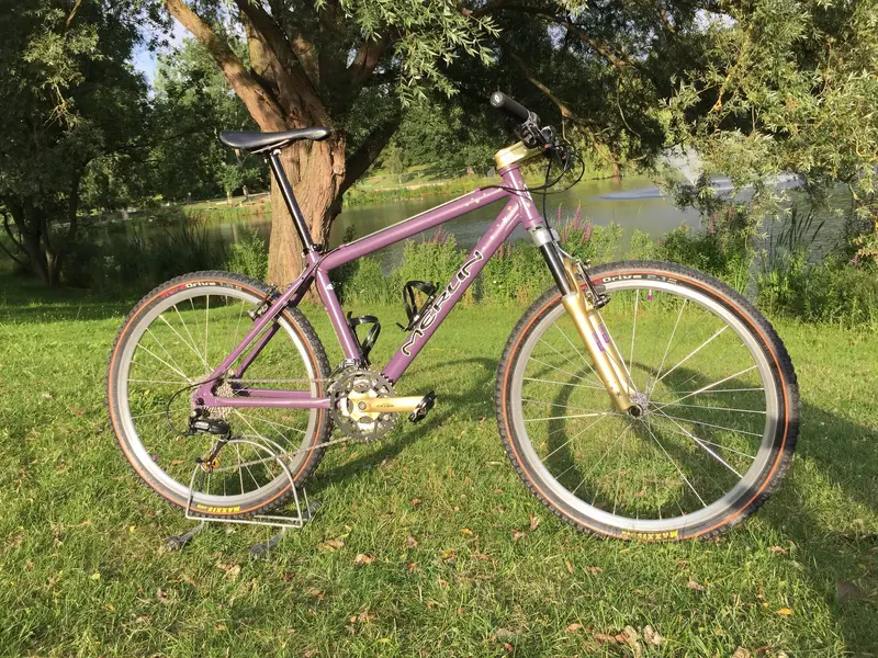 My Bikes - 20210722 Merlin Malt purple (2).webp