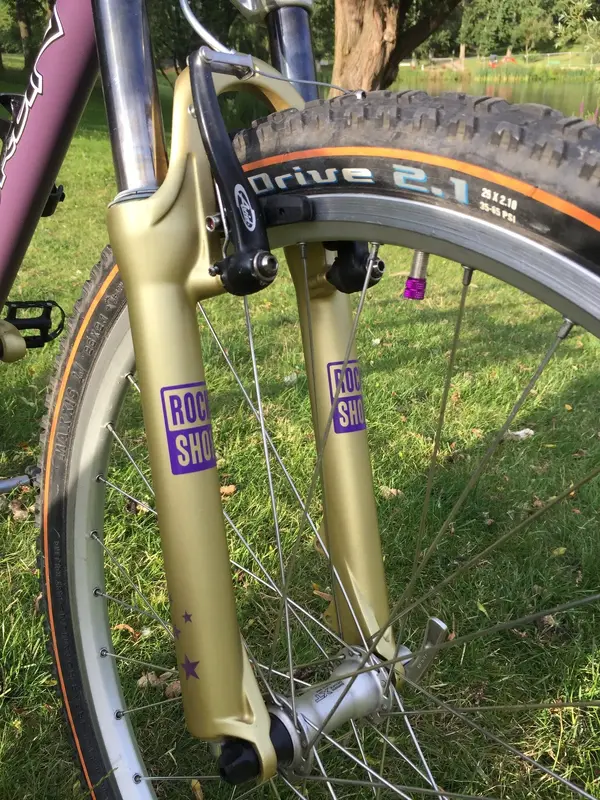 My Bikes - 20210722 Merlin Malt purple (10).webp
