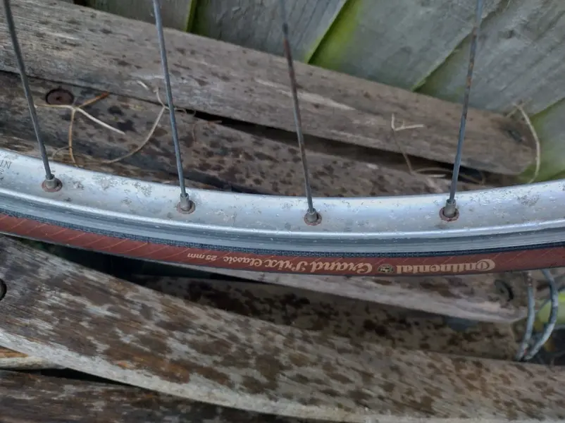 IMG_20211209_153613_HDR.webp