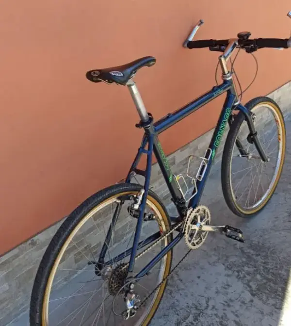 Colnago 2 .webp