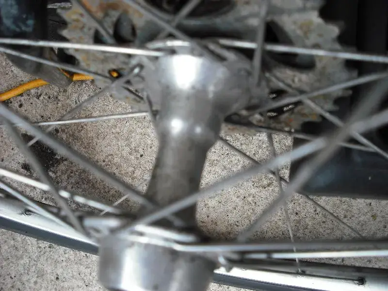 03082009 004 (Medium).webp