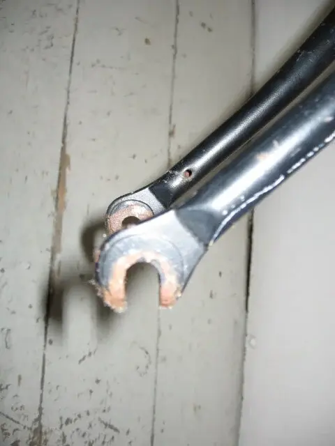 forks 003.webp