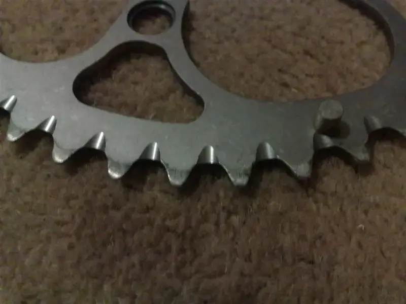 25102009083 (Large).webp