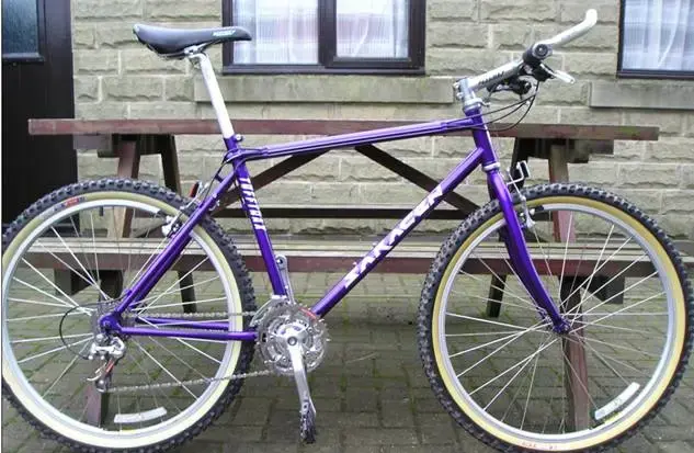 bike.webp