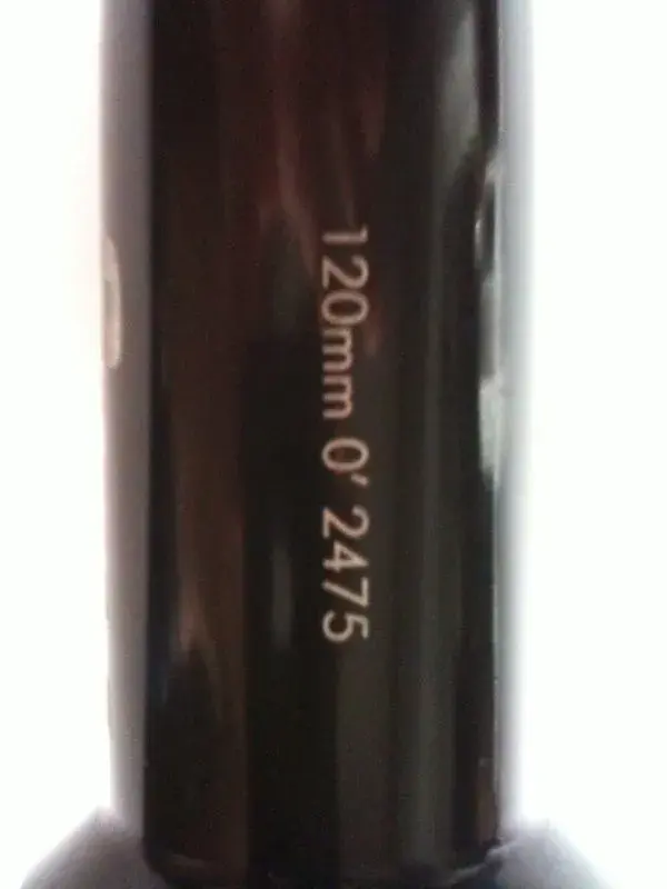 ringle stem 1.webp