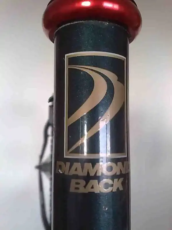 DB Apex_head tube.webp