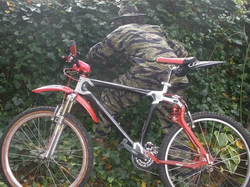 camo.webp