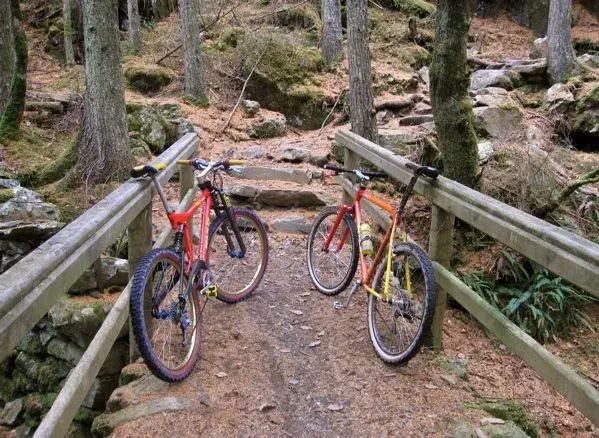Obstacle course.webp