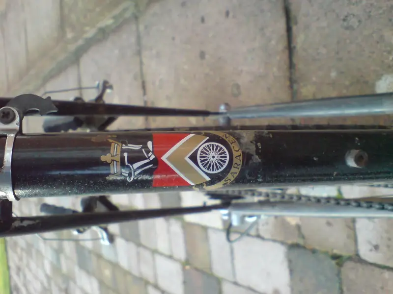 DSC00015.webp