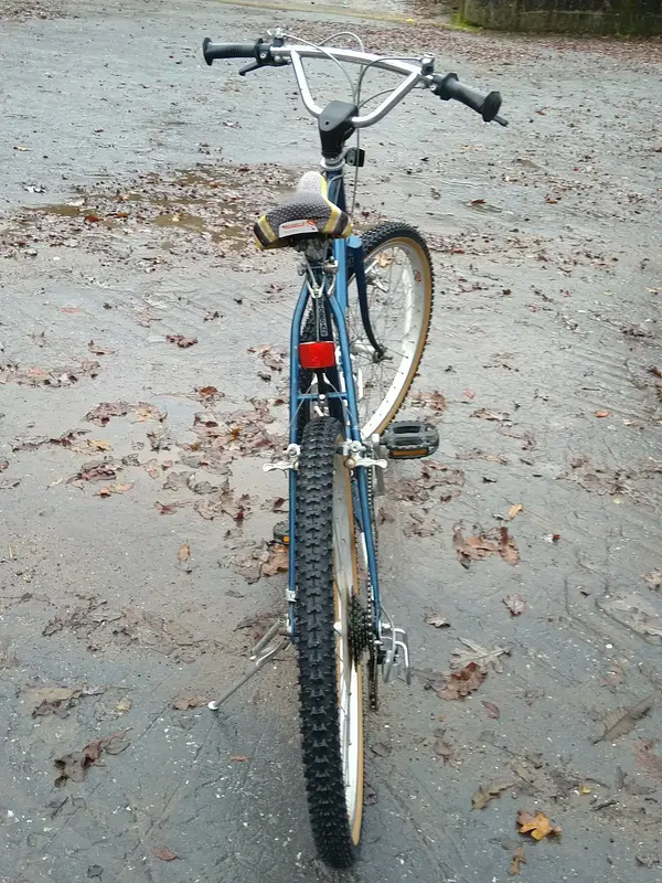 IMG_20211215_092318.webp