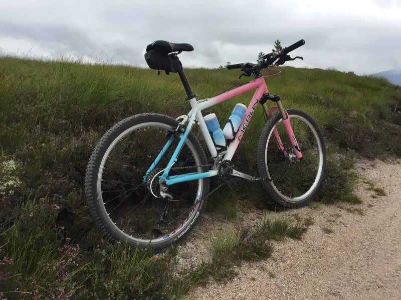 Bike rides (2).webp