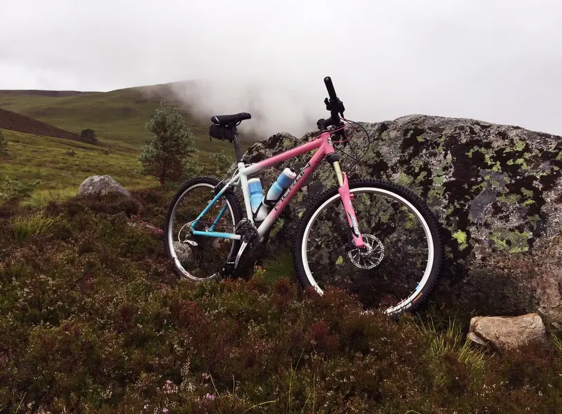 Bike rides (3).webp