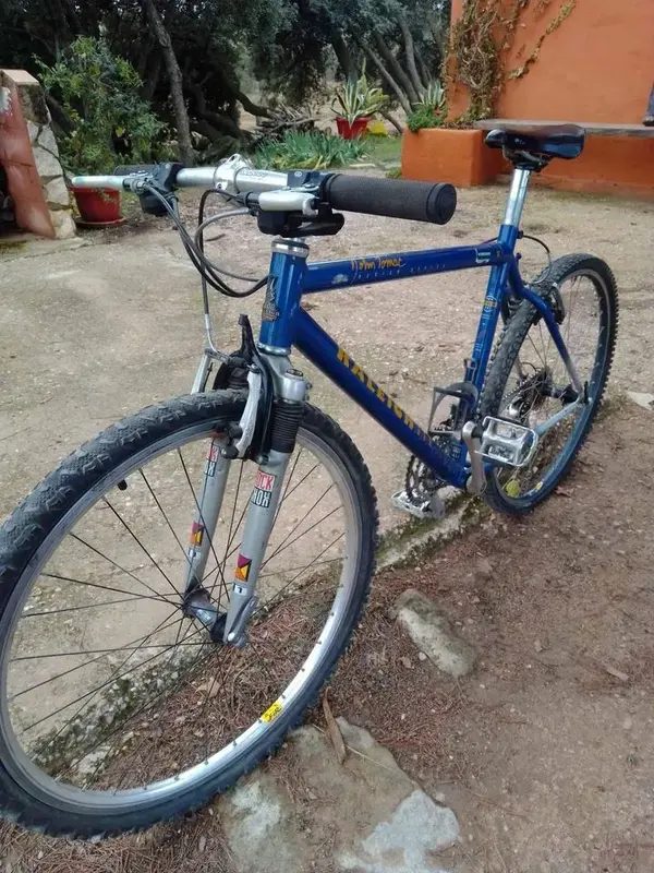 Raleigh USA John Tomac Design Mountain Bike - Valuation Please
