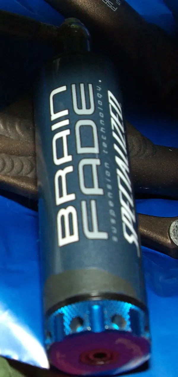 IMGP1675.webp
