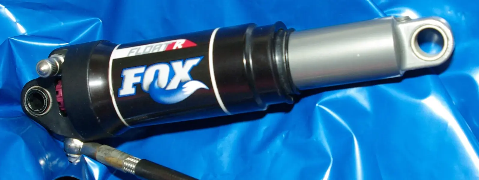 IMGP1676.webp