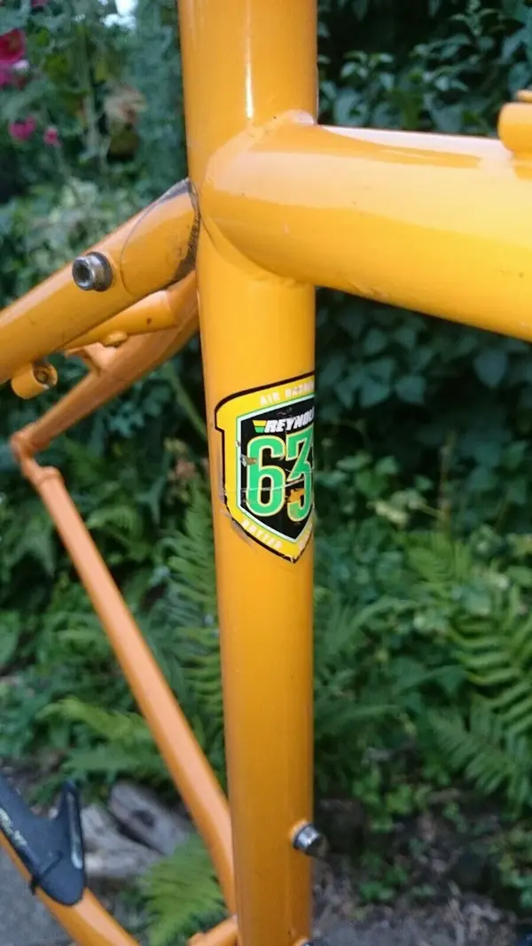 1998 Kilauea 18 frame_1.jpg