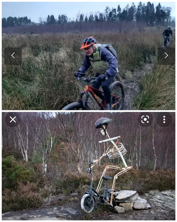 inCollage_20220105_184658225.webp