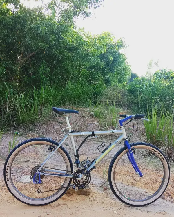 KUWAHARA MARAGAY 1992.webp