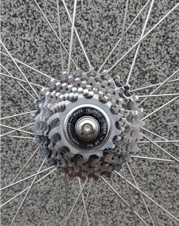 veloce4.webp