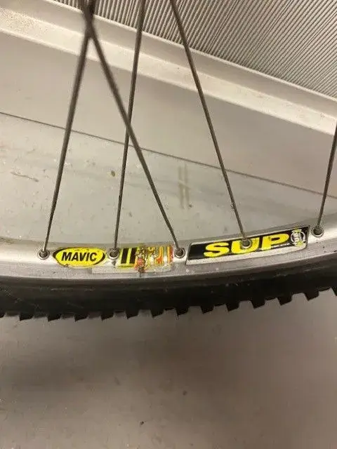 d521 r.webp