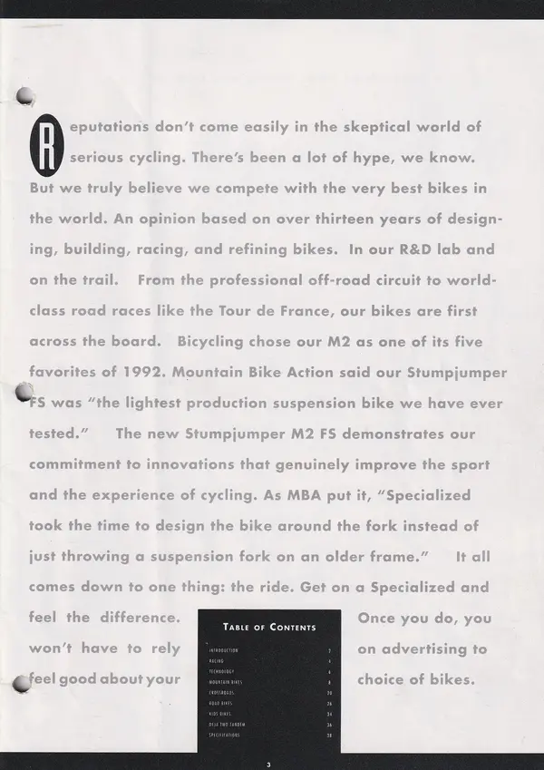 Page 3.webp