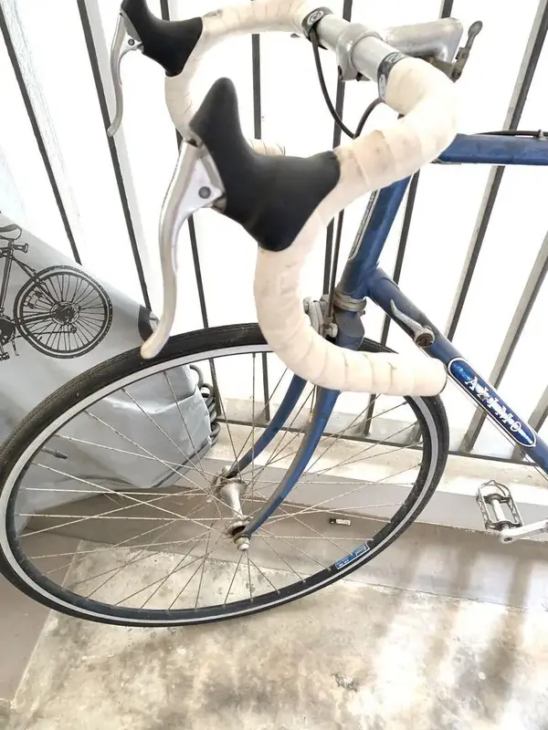 alimo_italian_bike_1615546846_73f598ba_progressive.jpg