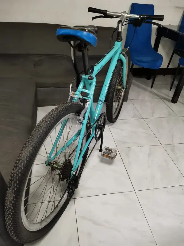 ID HELP - is this a 1991 Koga Miyata Ridge Runner? | Retrobike