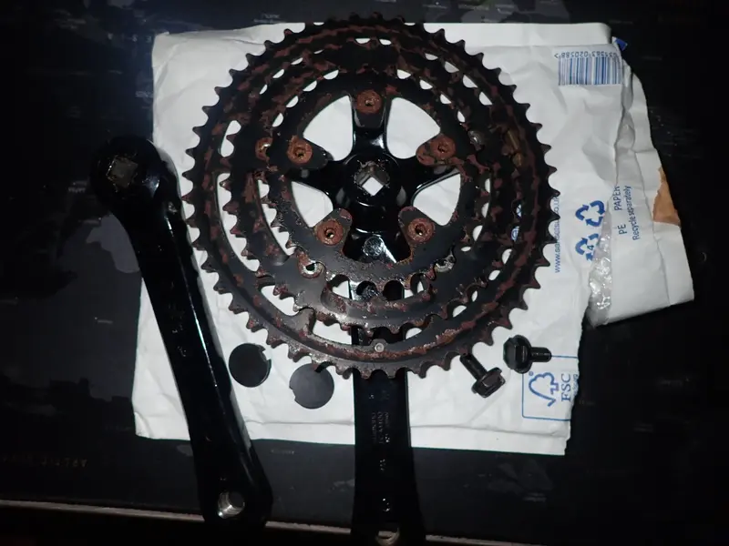 P1230441.webp