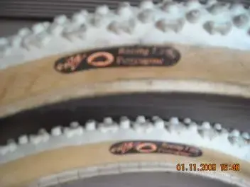109851055.webp