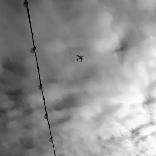 planelo.webp