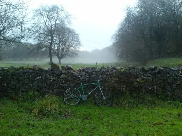 Morning ride.webp