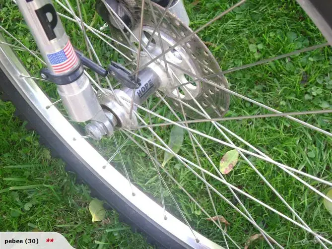 111153798_full.webp