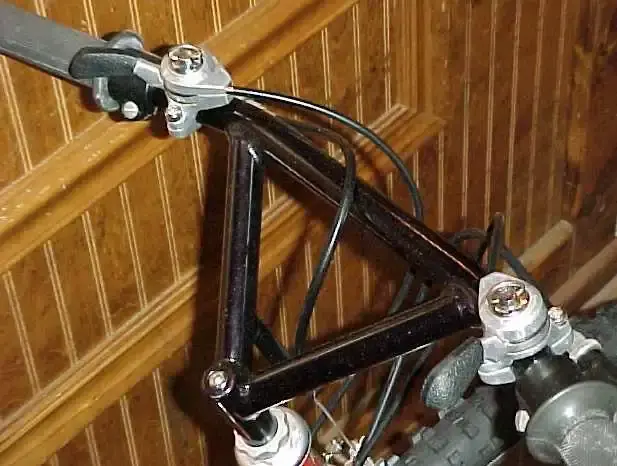timberbars.webp