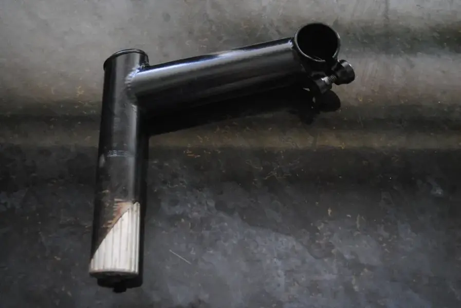 quill stem.webp