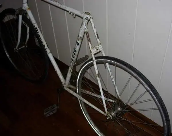 Bianchi2.webp